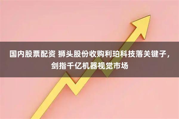 国内股票配资 狮头股份收购利珀科技落关键子，剑指千亿机器视觉市场
