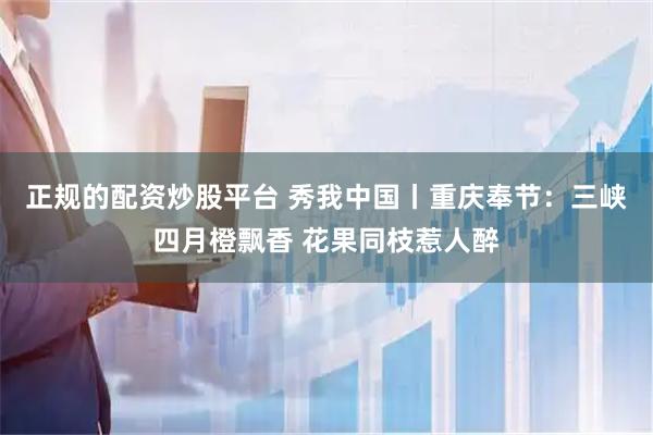 正规的配资炒股平台 秀我中国丨重庆奉节：三峡四月橙飘香 花果同枝惹人醉